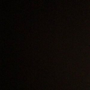 Meet your Posher, Ebony